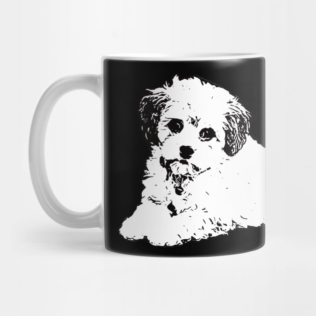 Maltipoo by DoggyStyles
